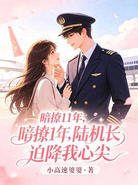暗撩11年，陆机长迫降我心尖在线阅读