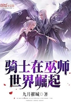 骑士在巫师世界崛起
