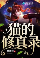 貓的修真錄在線閱讀