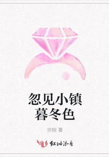 忽見小鎮(zhèn)暮冬色