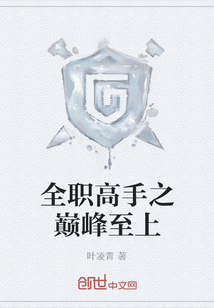 全職高手之巔峰至上