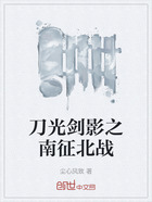 刀光劍影之南征北戰在線閱讀