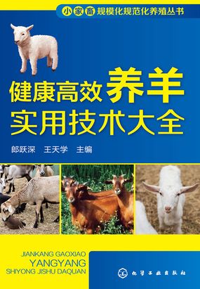 健康高效养羊实用技术大全在线阅读