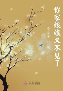 你家娘娘又不见了