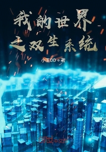 我的世界之雙生系統