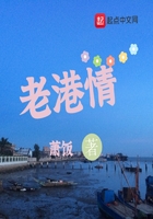 老港情在線閱讀