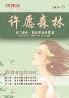 許愿森林在線閱讀