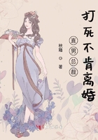 直男總裁追妻難在線閱讀