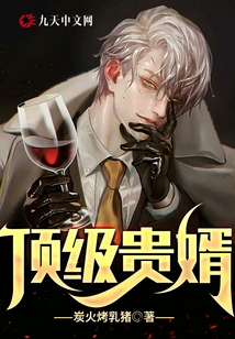 頂級貴婿