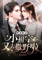 傅爷,你家小祖宗又去撒野啦在线阅读