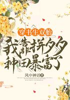 穿书生双胎,我靠拼夕夕种田暴富了