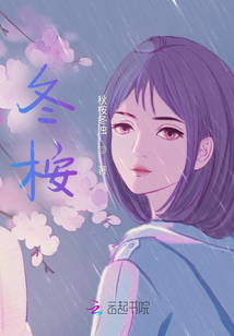 冬桉