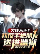 欠钱不还?我反手把朋友送进监狱在线阅读