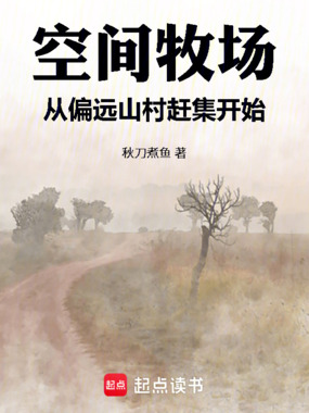 空间牧场:从偏远山村赶集开始在线阅读