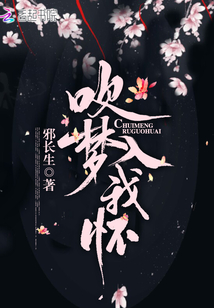 吹夢入我懷