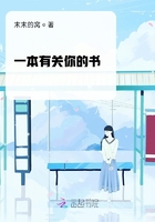 一本有关你的书