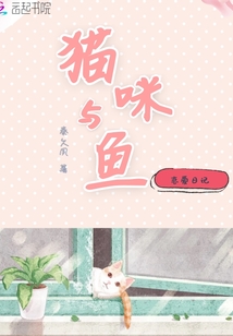 猫咪与鱼恋爱日记