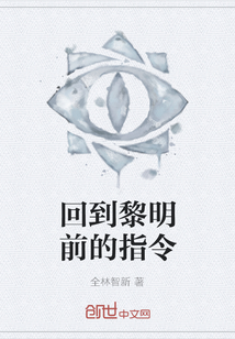 回到黎明前的指令