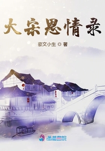 大宋恩情錄
