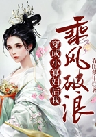 穿成小寡妇后我乘风破浪