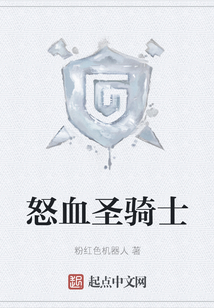 怒血圣騎士