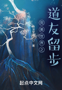 完美世界之道友留步