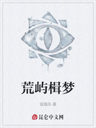 荒屿楫梦在线阅读
