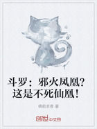 斗罗:邪火凤凰?这是不死仙凰!在线阅读