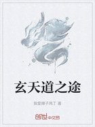 玄天道之途在线阅读
