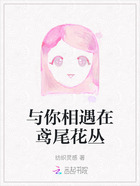 与你相遇在鸢尾花丛在线阅读