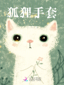 狐貍手套
