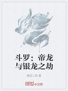 斗羅：帝龍與銀龍之劫在線閱讀