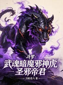 斗罗：武魂暗魔邪神虎，圣邪帝君在线阅读