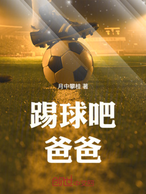 踢球吧！爸爸在线阅读