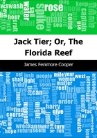 Jack Tier; Or, The Florida Reef-杰克阶;或者;佛罗里达珊瑚礁 (英文原版)在线阅读