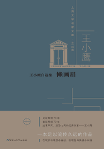 王小鷹自選集：懶畫眉