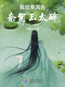 我欲乘風(fēng)去，奈何玉太碎