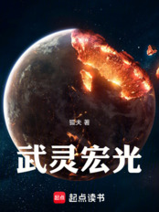 武灵宏光（罗平安）在线阅读