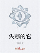 失踪的它在线阅读