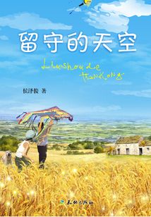 留守的天空