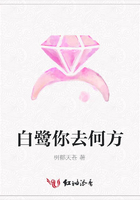 白鷺你去何方在線閱讀