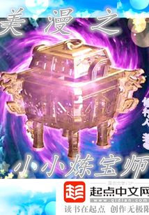 美漫之小小炼宝师在线阅读