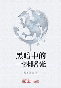 黑暗中的一抹曙光
