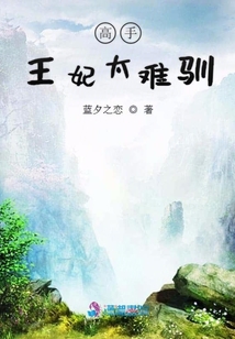 高手王妃太難馴