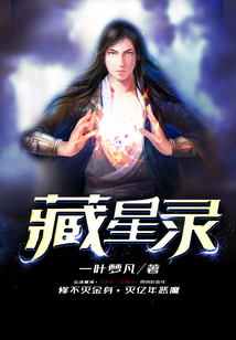 藏星录 cover