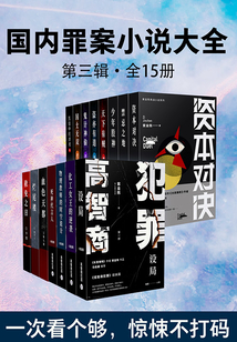 国内罪案小说大全·第三辑（全15册）