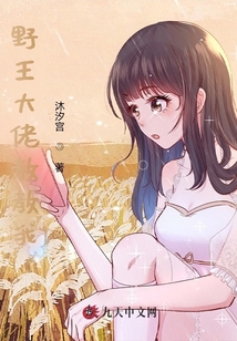 野王大佬教教我