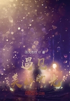 遇見美好的光在線閱讀