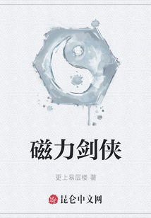 磁力劍俠