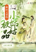 穿成种田文里的极品小姑姑在线阅读